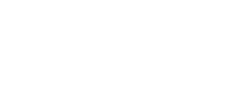 VANM - Viral Advertising Network Mining